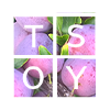 TSOY – Unlimited  Story